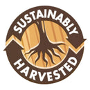 Bluebonnet Targeted Choice Brain Power 30 Veg Capsules - DailyVita