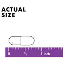 Bluebonnet Triple Boron 3 mg 90 Veg Capsules - DailyVita