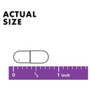 Bluebonnet Vitamin K-2 100 mcg 100 Veg Capsules - DailyVita