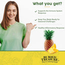 Buried Treasure Aller ease Liquid Nutrients 16 fl oz (473 ml) - DailyVita