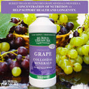 Buried Treasure Concord Grape Minerals Complex 32 fl oz (946 ml) - DailyVita