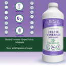Buried Treasure Concord Grape Minerals Complex 32 fl oz (946 ml) - DailyVita