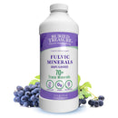 Buried Treasure Concord Grape Minerals Complex 32 fl oz (946 ml) - DailyVita