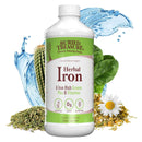 Buried Treasure Herbal Iron Liquid Nutrients 16 fl oz (473 ml) - DailyVita