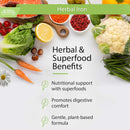 Buried Treasure Herbal Iron Liquid Nutrients 16 fl oz (473 ml) - DailyVita