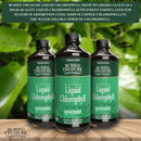 Buried Treasure Liquid Chlorophyll 16 fl oz (473 ml) - DailyVita