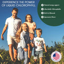 Buried Treasure Liquid Chlorophyll 16 fl oz (473 ml) - DailyVita