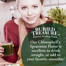 Buried Treasure Liquid Chlorophyll 16 fl oz (473 ml) - DailyVita