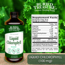 Buried Treasure Liquid Chlorophyll 16 fl oz (473 ml) - DailyVita