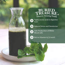 Buried Treasure Liquid Chlorophyll 16 fl oz (473 ml) - DailyVita