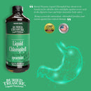 Buried Treasure Liquid Chlorophyll 16 fl oz (473 ml) - DailyVita