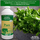 Buried Treasure Pure Colloidal Minerals Plant Derived 32 fl oz (946 ml) - DailyVita