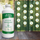 Buried Treasure Pure Colloidal Minerals Plant Derived 32 fl oz (946 ml) - DailyVita