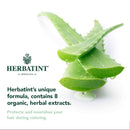 Herbatint Permanent Hair Color Gel 6N Dark Blonde - DailyVita