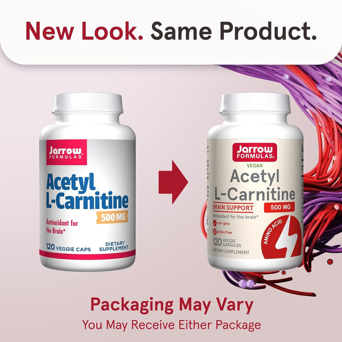 acetyl l carnitine 中文 acetyl l carnitine 中文ALCAR