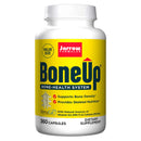 Jarrow Formulas Bone-Up 360 Capsules - DailyVita