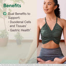 Jarrow Formulas Mastic Gum 500 mg 120 Veggie Caps - DailyVita