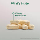 Jarrow Formulas Mastic Gum 500 mg 120 Veggie Caps - DailyVita