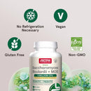 Jarrow Formulas Saccharomyces Boulardii Plus MOS 5 Billion Probiotic + Prebiotic 180 Veggie Capsules - DailyVita