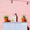 Lily of The Desert Aloe Herbal Stomach Formula 32 fl oz - DailyVita