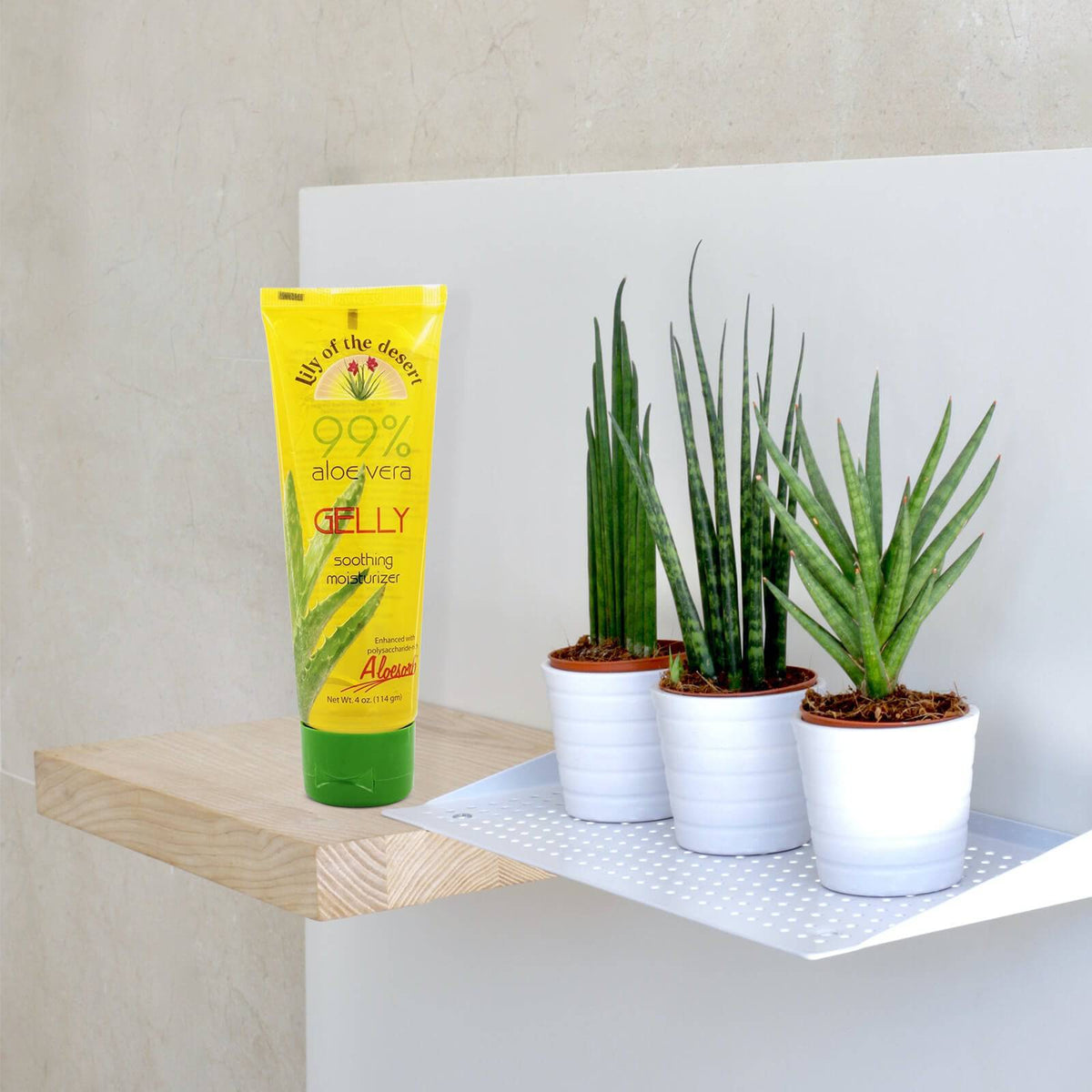 christophe robin hydrating shampoo with aloe vera Hydrating Shampoo with Aloe Vera