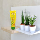 Lily of the Desert Aloe Vera Gelly Soothing Moisturizer 4 oz - DailyVita