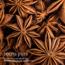 NOW Foods Anise Oil 1 fl oz - DailyVita