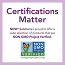 NOW Foods Apricot Kernel Oil 16 fl oz - DailyVita