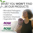 NOW Foods Bergamot Oil Organic 1 fl oz - DailyVita