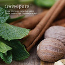 NOW Foods Cinnamon Bark Oil 1 fl oz - DailyVita