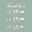 NOW Foods Eucalyptus Globulus Oil Organic 1 fl oz - DailyVita