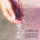 NOW Foods Geranium Oil 1 fl oz - DailyVita