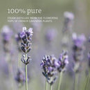 NOW Foods Lavender Oil 1 fl oz - DailyVita