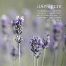 NOW Foods Let It Be Organically Organic Oils Kit - Lavender, Peppermint, Tea Tree, Lemon - DailyVita