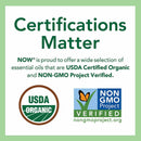 NOW Foods Lime Oil 1 fl oz - DailyVita