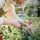 NOW Foods Oil of Oregano Blend 1 fl oz - DailyVita