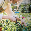 NOW Foods Oregano Oil 1 fl oz - DailyVita