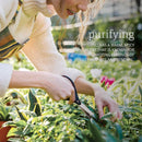 NOW Foods Oregano Oil Organic 1 fl oz - DailyVita