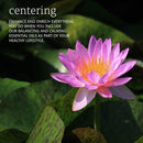 NOW Foods Peace & Harmony Oil Blend 1 fl oz - DailyVita