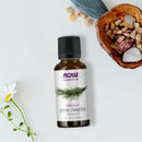 NOW Foods Pine Needle Oil 1 fl oz - DailyVita