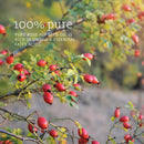 NOW Foods Rose Hip Seed Oil 1 fl oz - DailyVita