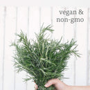 NOW Foods Rosemary Oil 1 fl oz - DailyVita