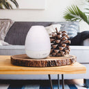 NOW Foods Ultrasonic USB Essential Oil Diffuser - DailyVita