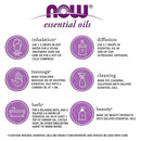 NOW Foods Vetiver Oil 1/3 fl oz - DailyVita