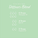 NOW Foods Wintergreen Oil 1 fl oz - DailyVita