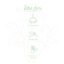 NOW Foods Wintergreen Oil 1 fl oz - DailyVita