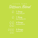 NOW Foods Ylang Ylang Extra Oil 1 fl oz - DailyVita