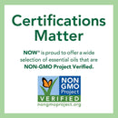 NOW Foods BetterStevia Liquid Glycerite 8 fl oz - DailyVita