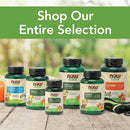 NOW Foods L-Lysine for Cats Powder 8 oz - DailyVita