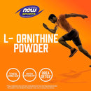 NOW Foods L- Ornithine 8 oz Powder - DailyVita